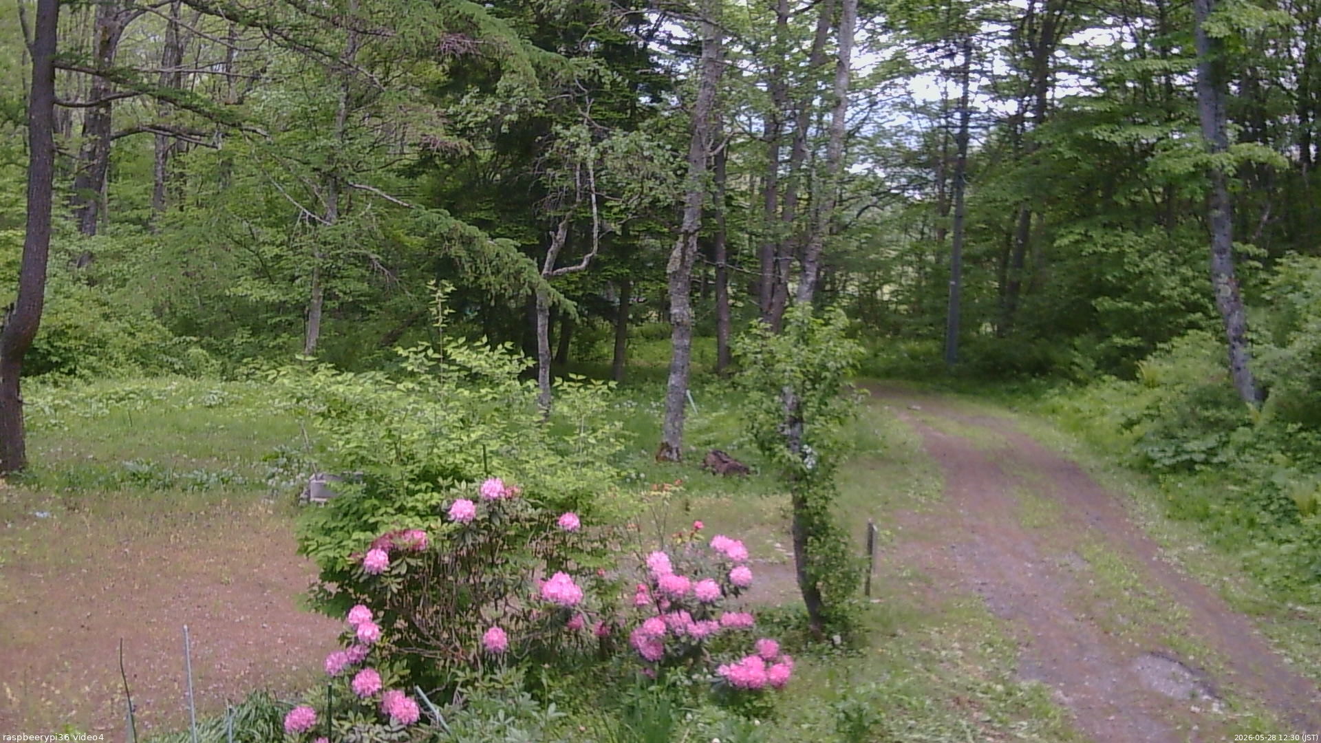 長野県菅平高原 ゆたか山荘 坂上 2026/05/28 12:30