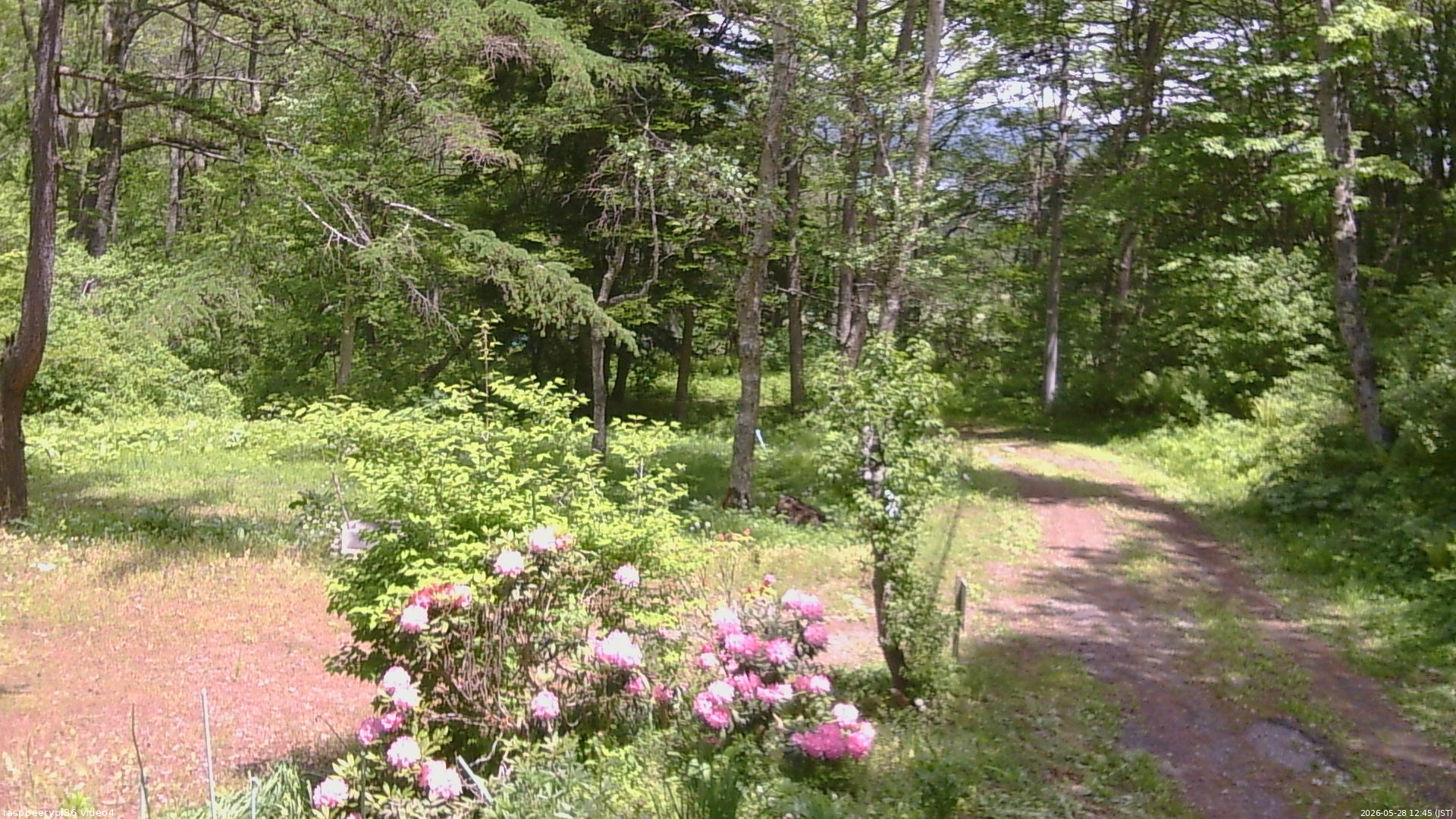 長野県菅平高原 ゆたか山荘 坂上 2026/05/28 12:45
