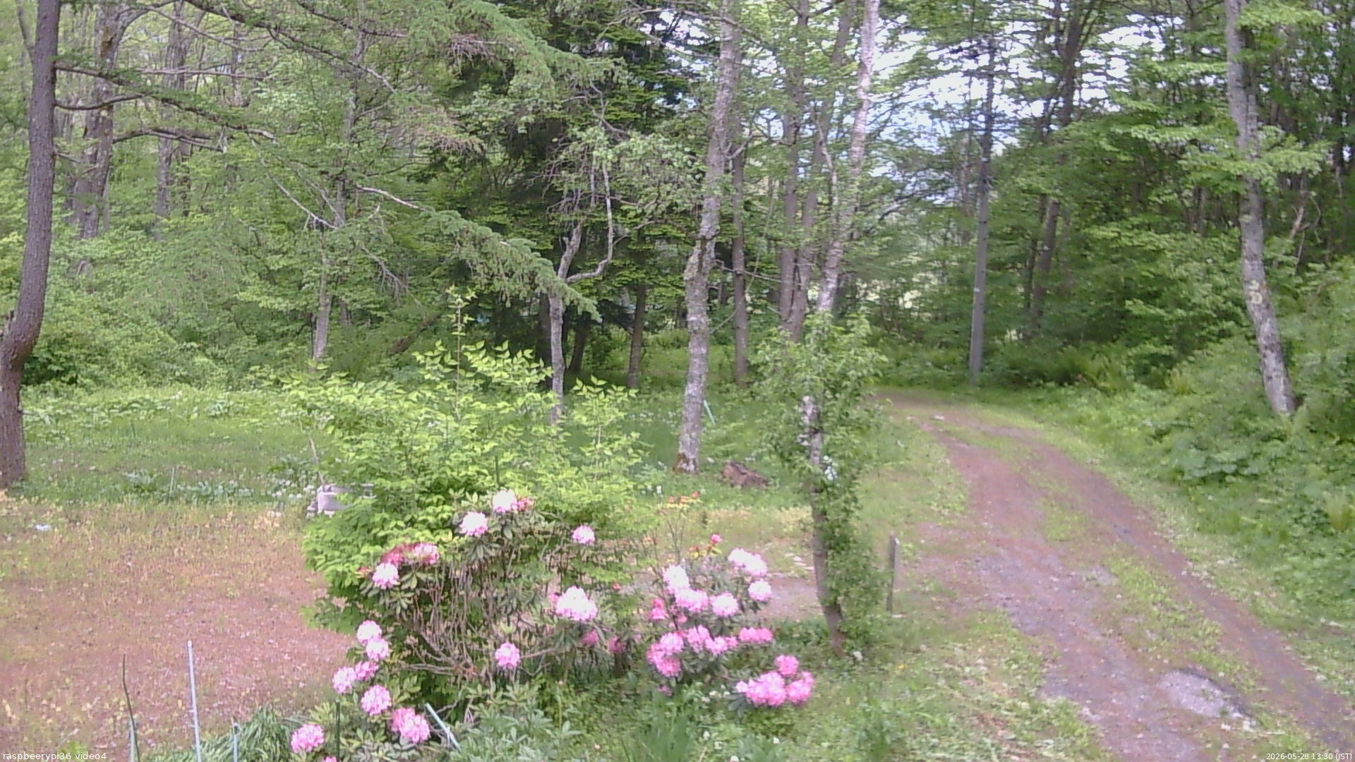 長野県菅平高原 ゆたか山荘 坂上 2026/05/28 13:30