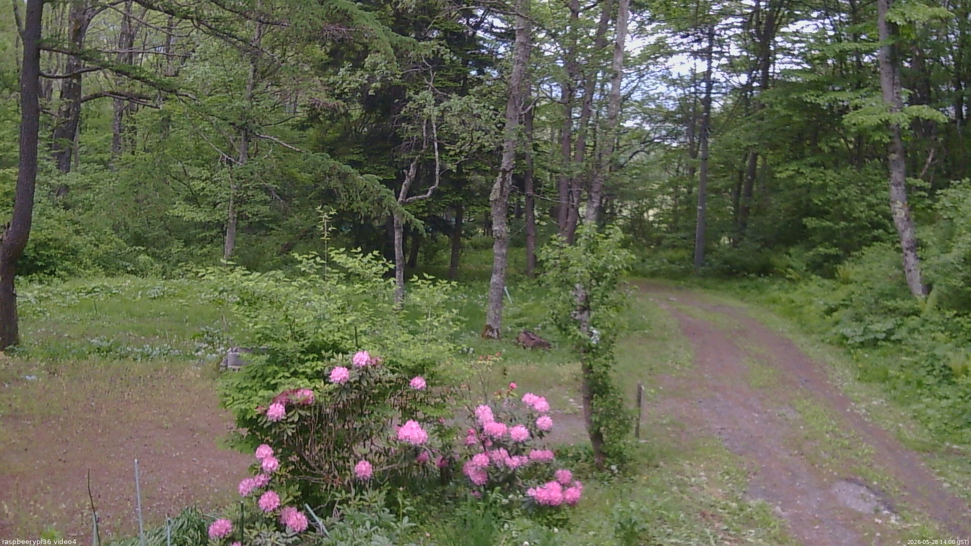 長野県菅平高原 ゆたか山荘 坂上 2026/05/28 14:00