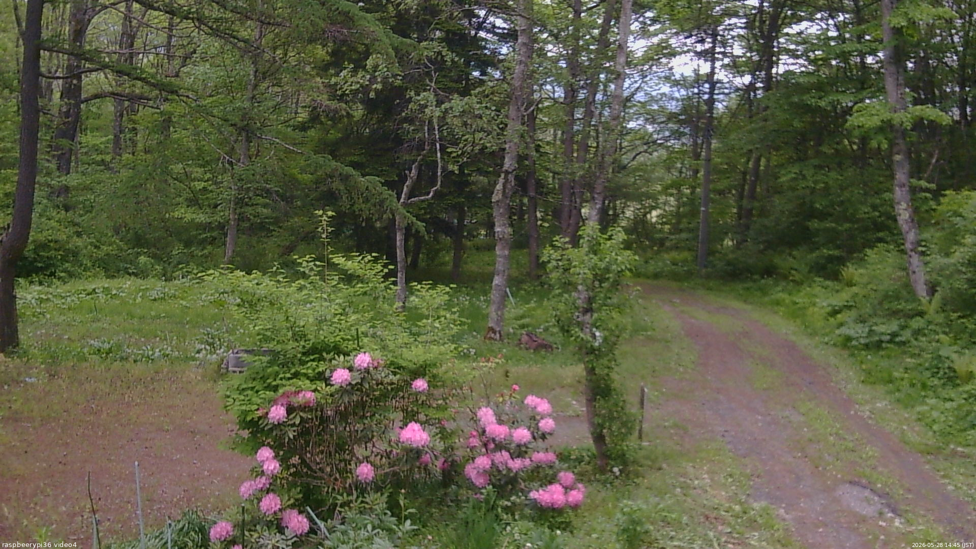 長野県菅平高原 ゆたか山荘 坂上 2026/05/28 14:45