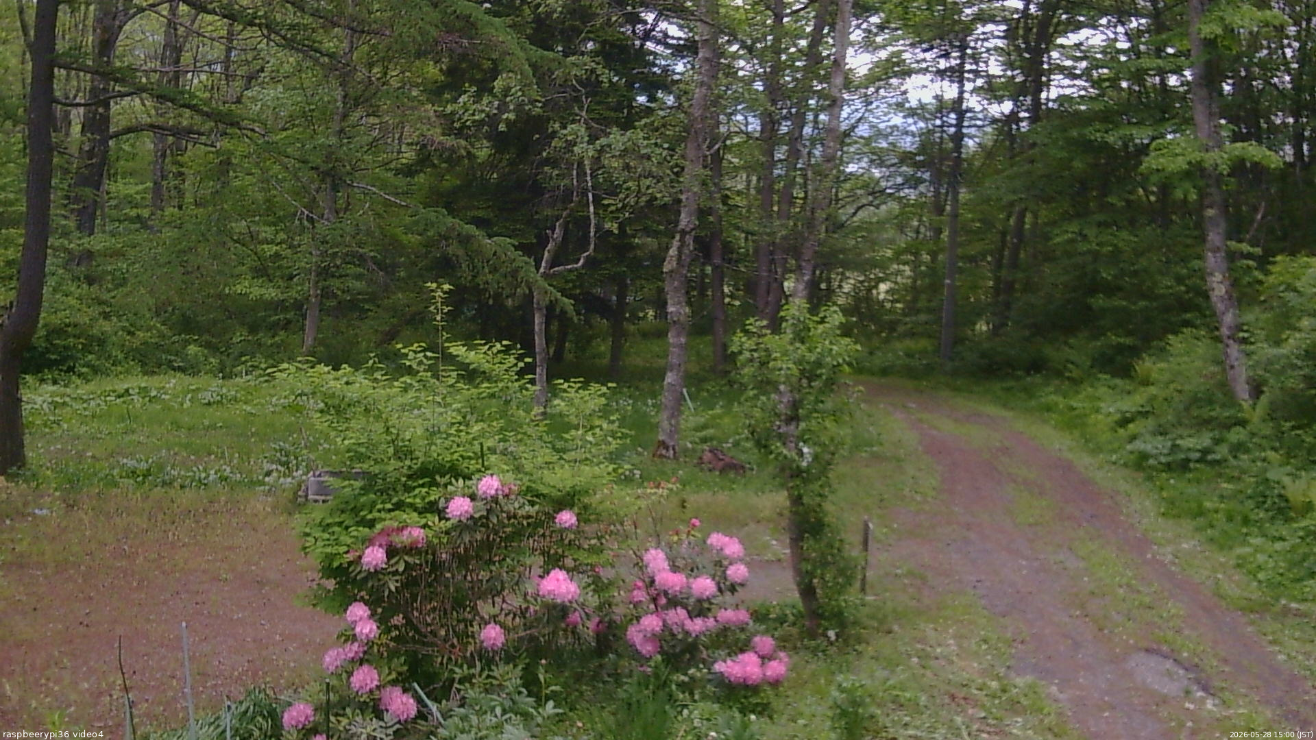 長野県菅平高原 ゆたか山荘 坂上 2026/05/28 15:00
