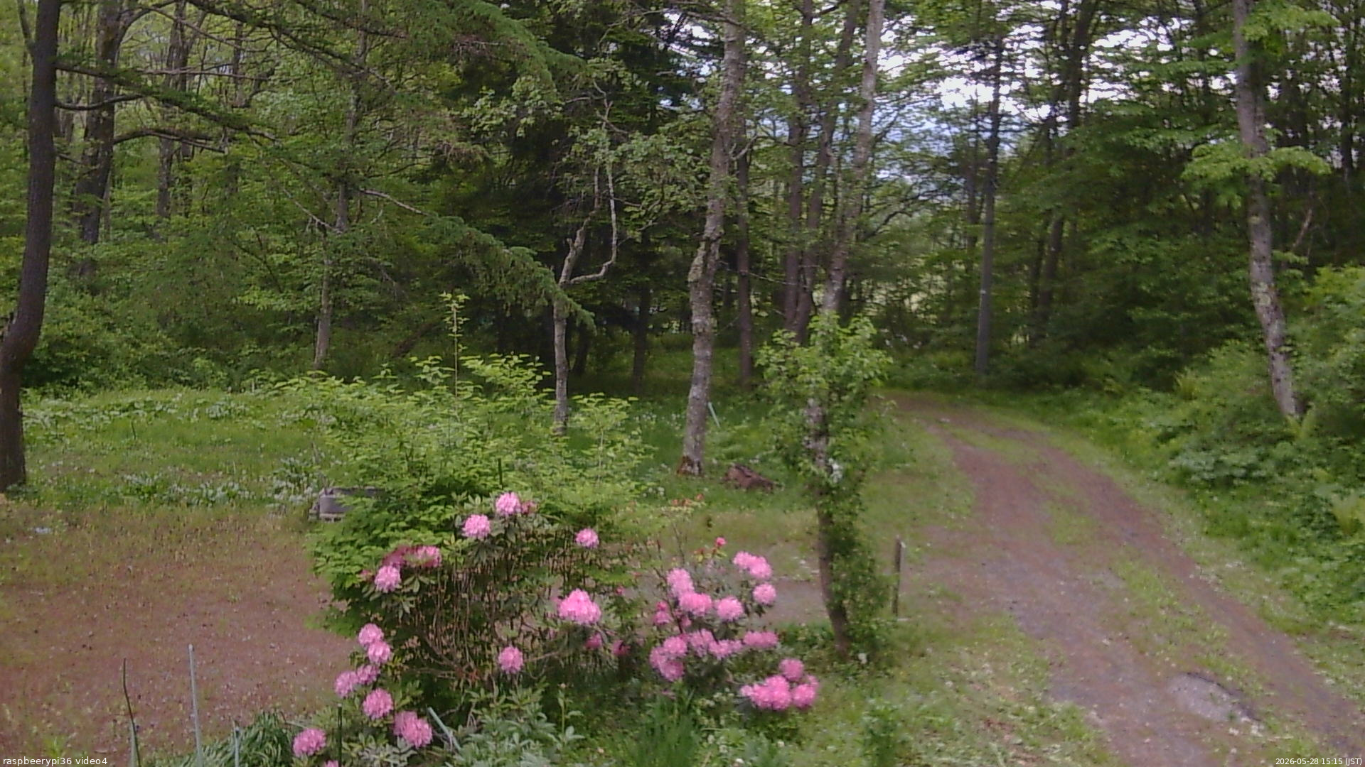 長野県菅平高原 ゆたか山荘 坂上 2026/05/28 15:15