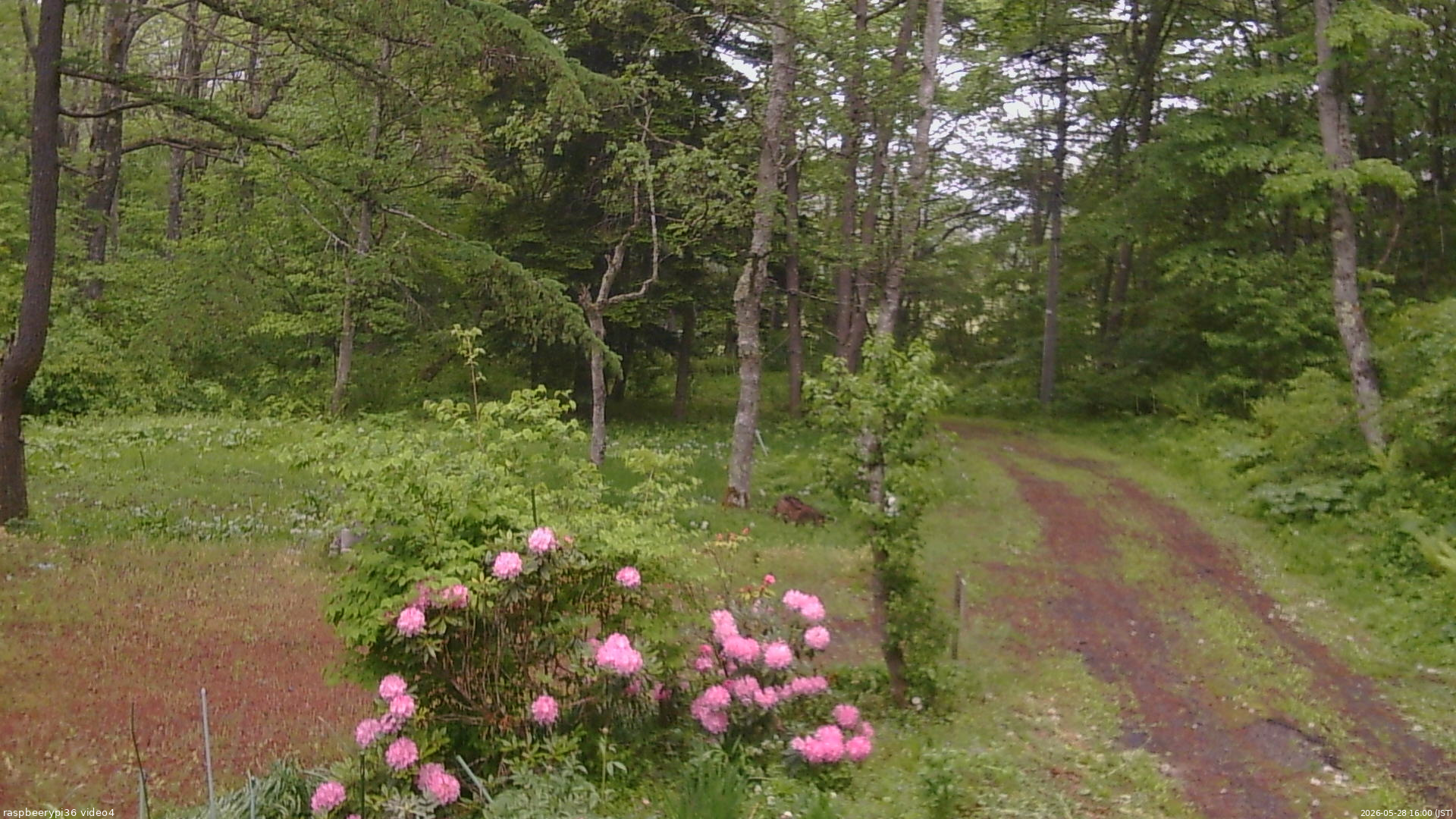 長野県菅平高原 ゆたか山荘 坂上 2026/05/28 16:00