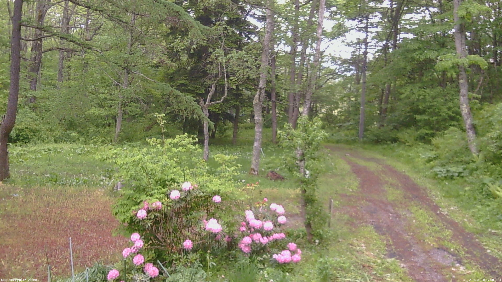 長野県菅平高原 ゆたか山荘 坂上 2026/05/28 17:00