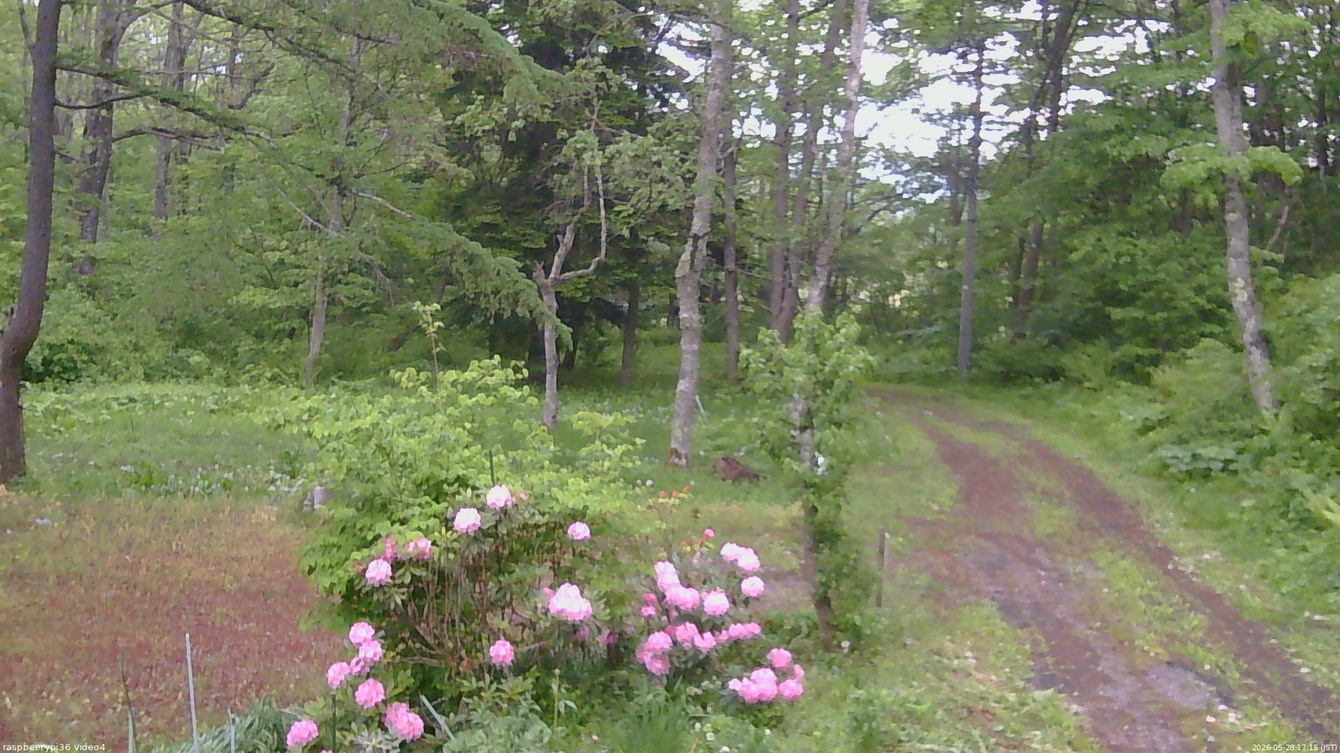 長野県菅平高原 ゆたか山荘 坂上 2026/05/28 17:15