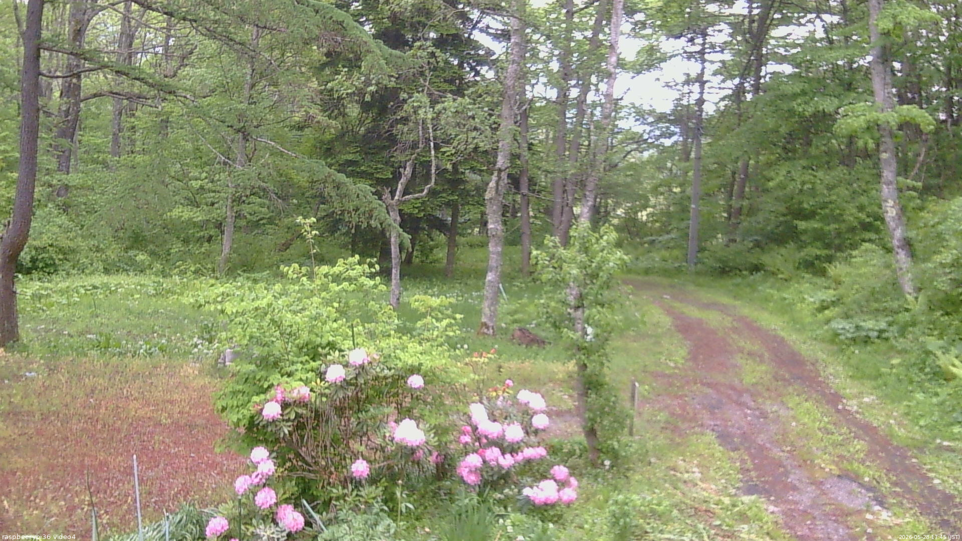 長野県菅平高原 ゆたか山荘 坂上 2026/05/28 17:45