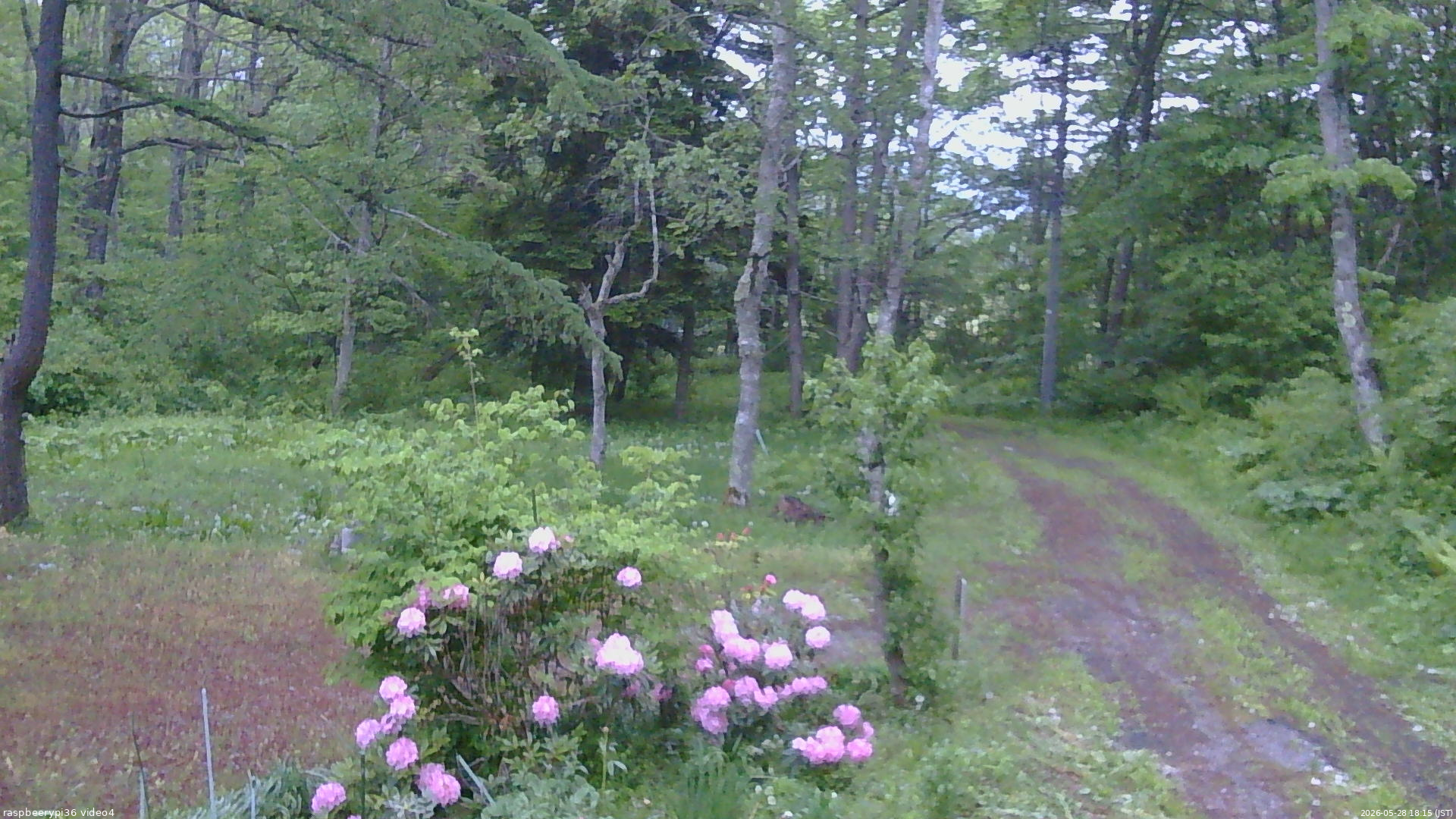 長野県菅平高原 ゆたか山荘 坂上 2026/05/28 18:15