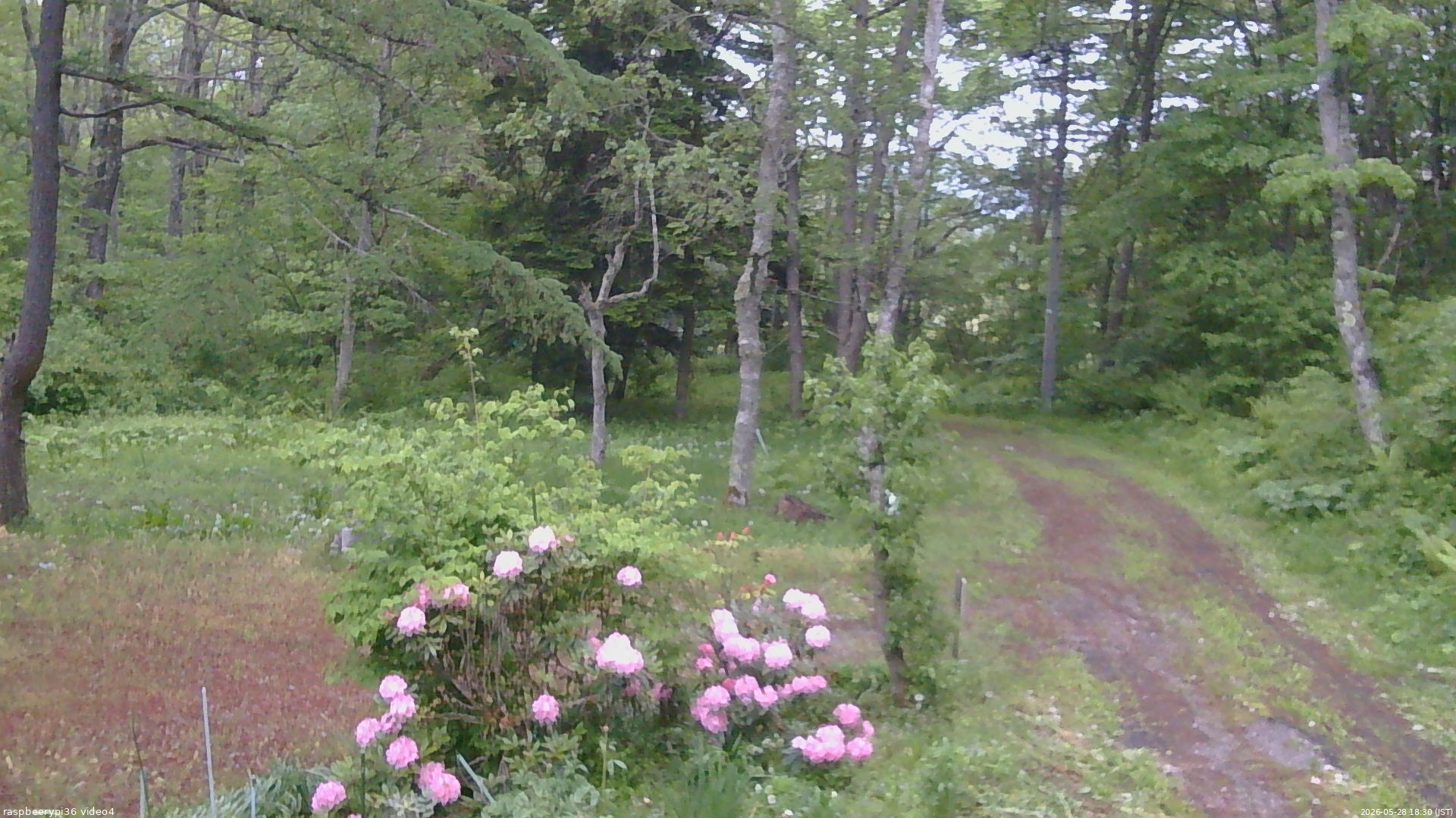 長野県菅平高原 ゆたか山荘 坂上 2026/05/28 18:30
