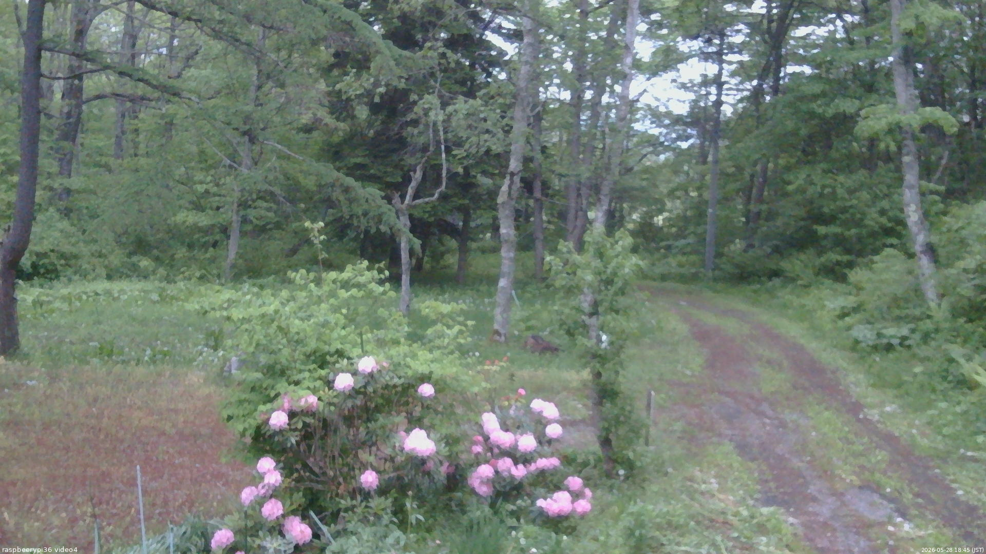 長野県菅平高原 ゆたか山荘 坂上 2026/05/28 18:45