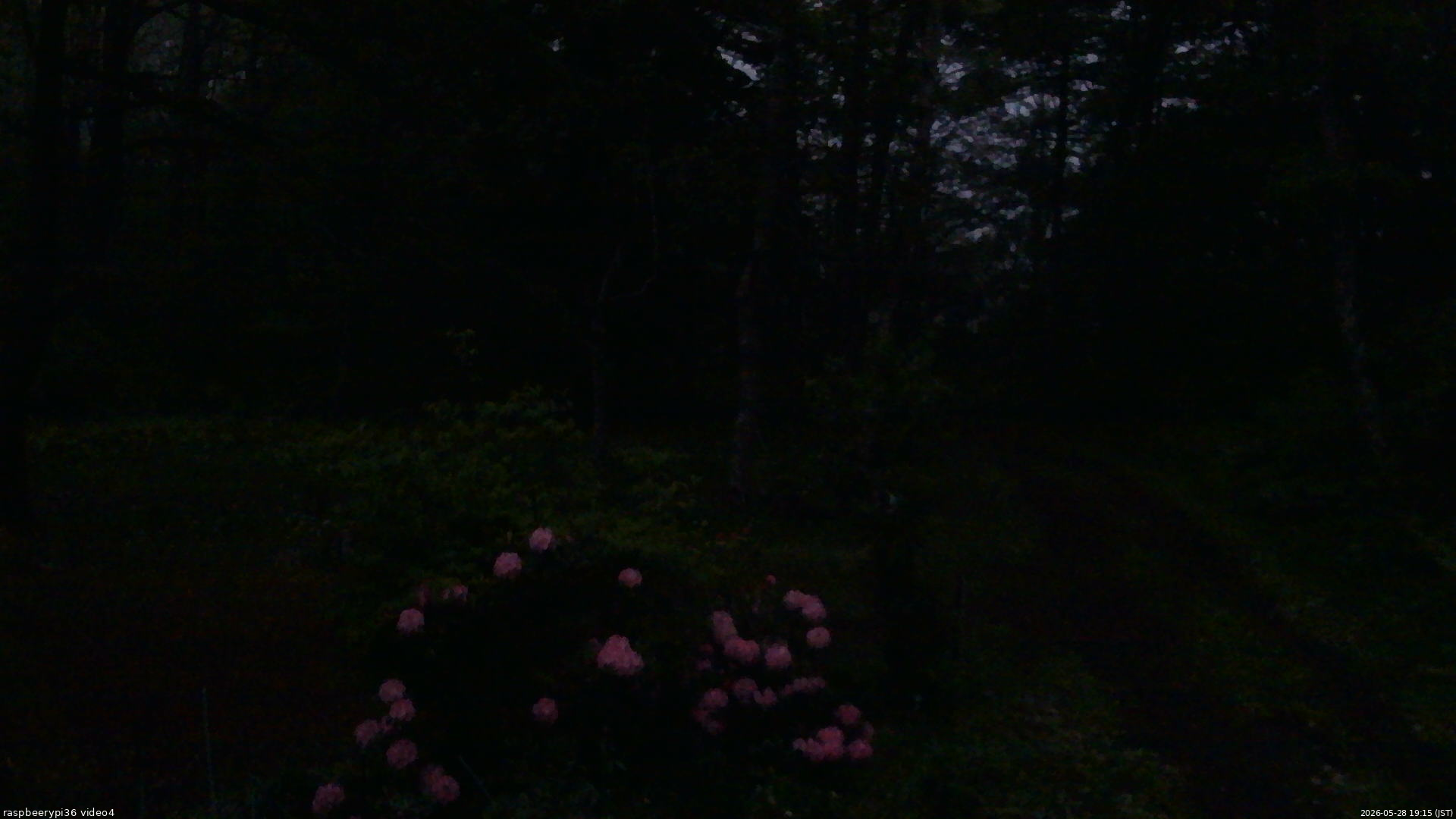 長野県菅平高原 ゆたか山荘 坂上 2026/05/28 19:15