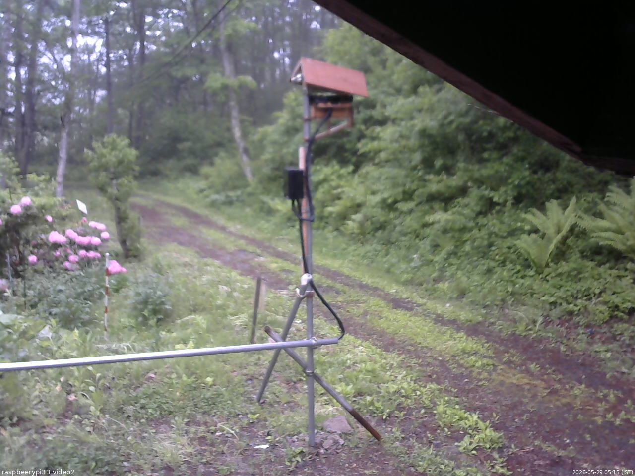 長野県菅平高原 ゆたか山荘 南側 2026/05/29 05:15