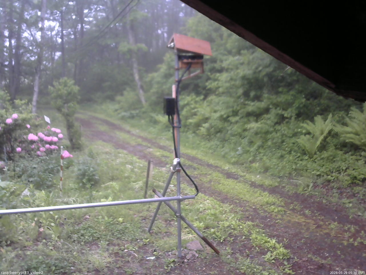 長野県菅平高原 ゆたか山荘 南側 2026/05/29 05:30