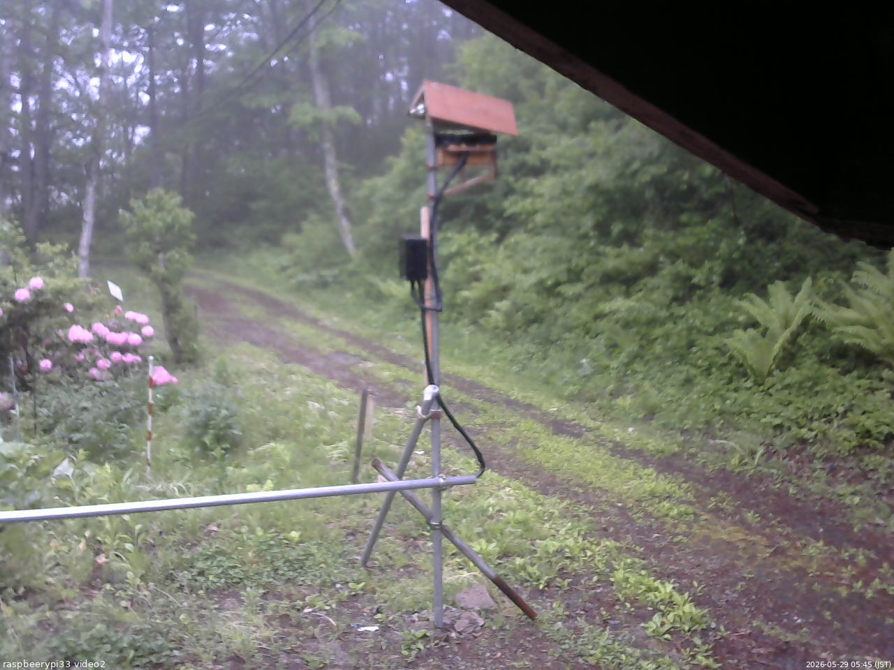 長野県菅平高原 ゆたか山荘 南側 2026/05/29 05:45