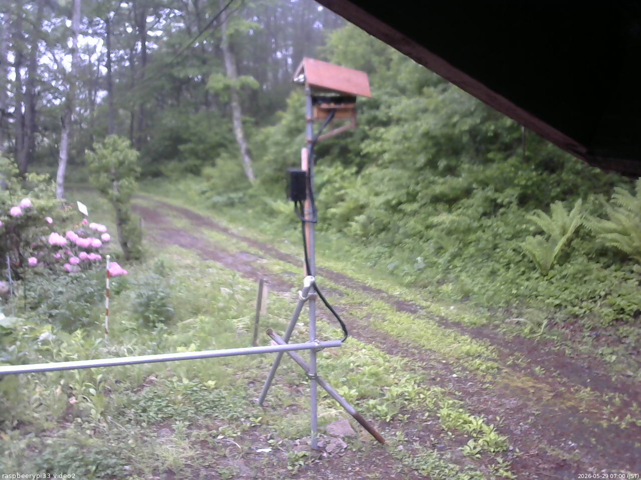 長野県菅平高原 ゆたか山荘 南側 2026/05/29 07:00