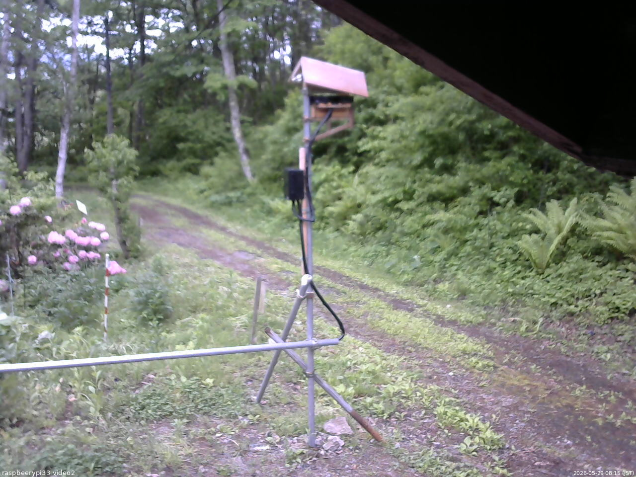 長野県菅平高原 ゆたか山荘 南側 2026/05/29 08:15