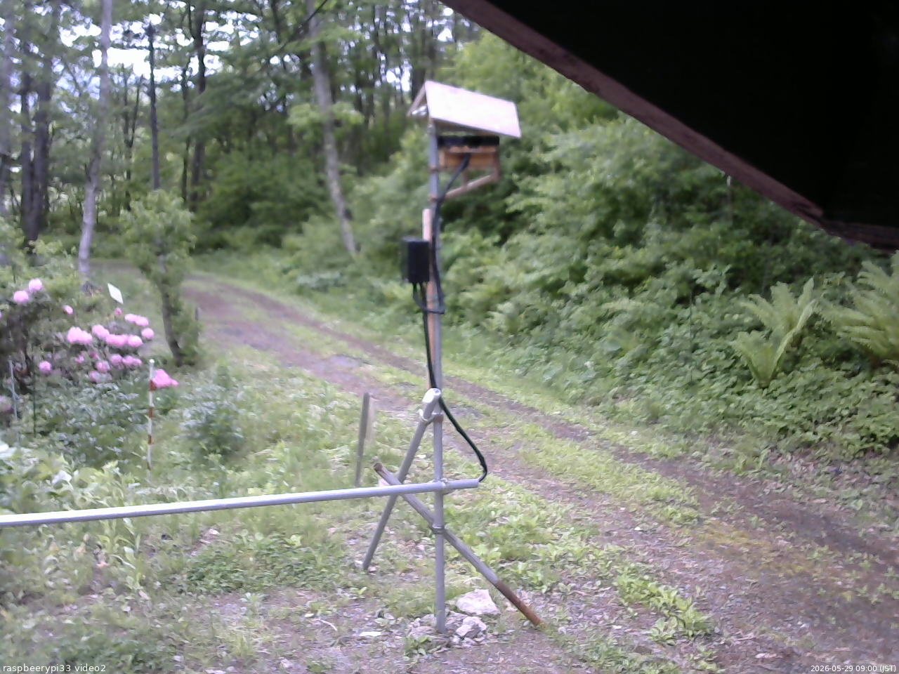 長野県菅平高原 ゆたか山荘 南側 2026/05/29 09:00