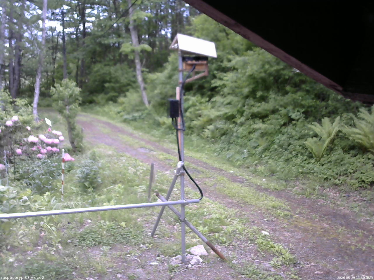 長野県菅平高原 ゆたか山荘 南側 2026/05/29 11:30