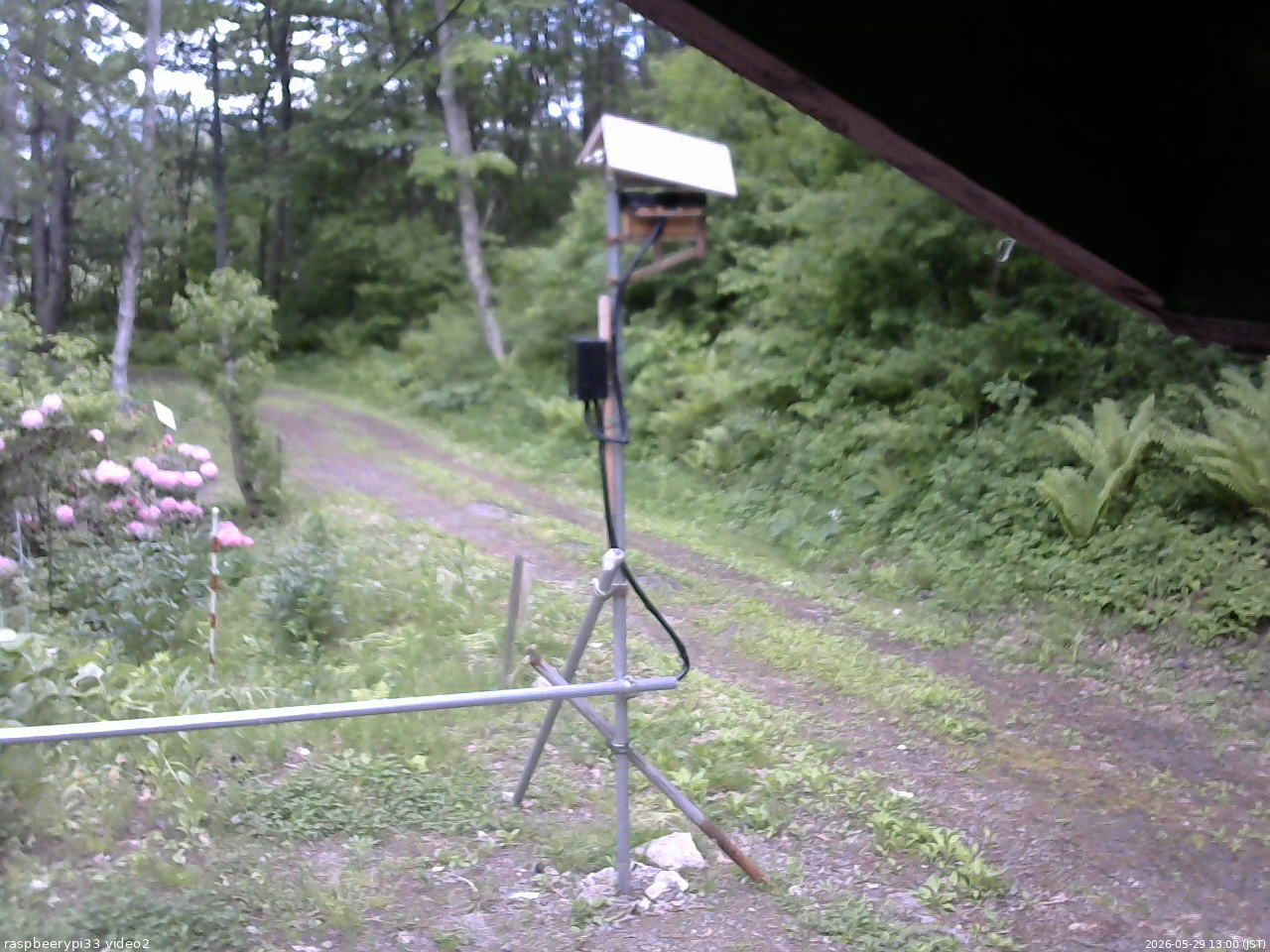 長野県菅平高原 ゆたか山荘 南側 2026/05/29 13:00