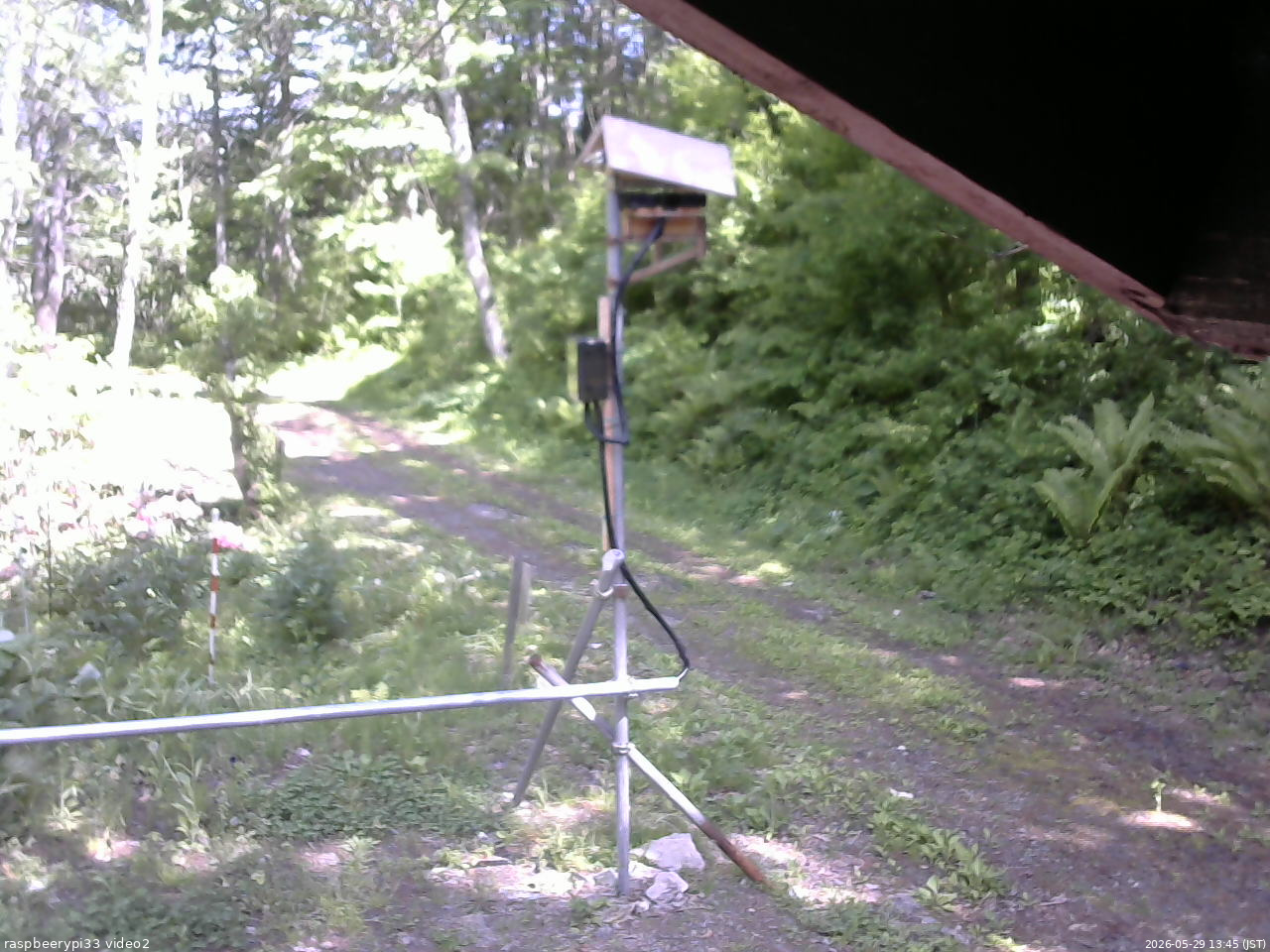 長野県菅平高原 ゆたか山荘 南側 2026/05/29 13:45