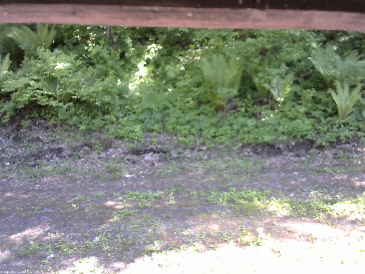 長野県菅平高原 ゆたか山荘 東側(坂下) 2026/05/29 14:15