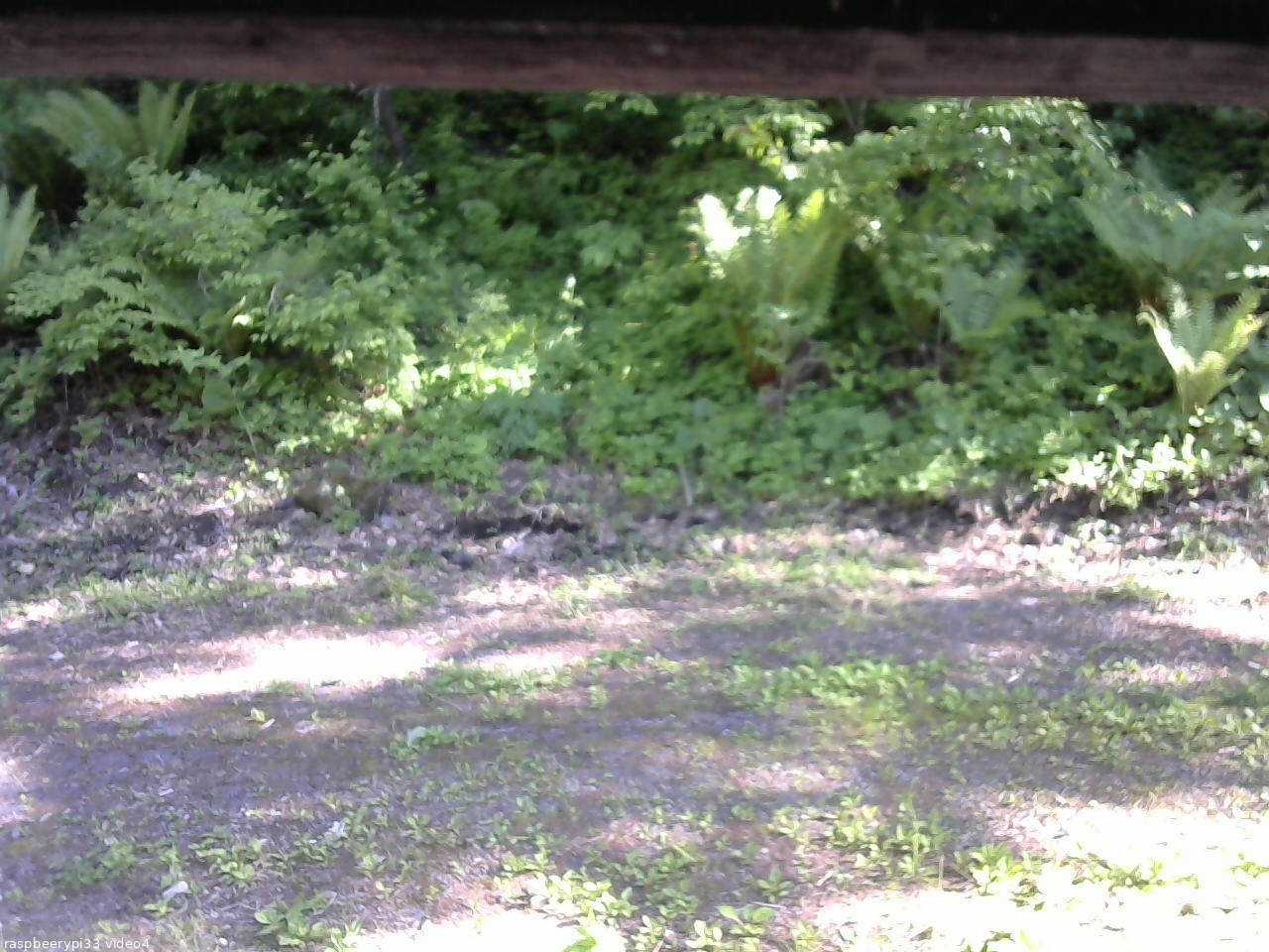 長野県菅平高原 ゆたか山荘 東側(坂下) 2026/05/29 16:00