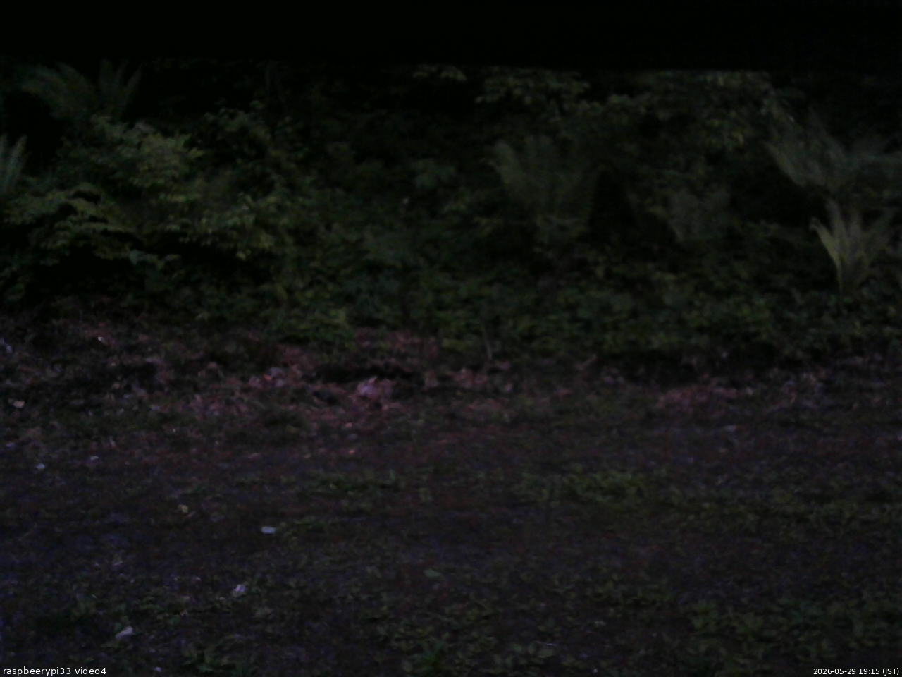 長野県菅平高原 ゆたか山荘 東側(坂下) 2026/05/29 19:15