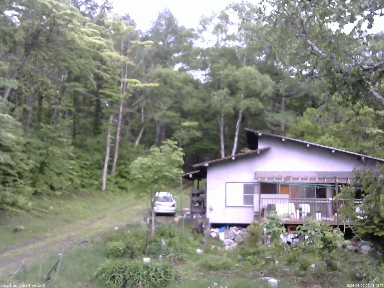 長野県菅平高原 ゆたか山荘 西側(坂上) 2026/05/29 07:45