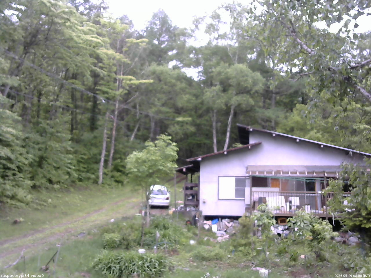 長野県菅平高原 ゆたか山荘 西側(坂上) 2026/05/29 08:00