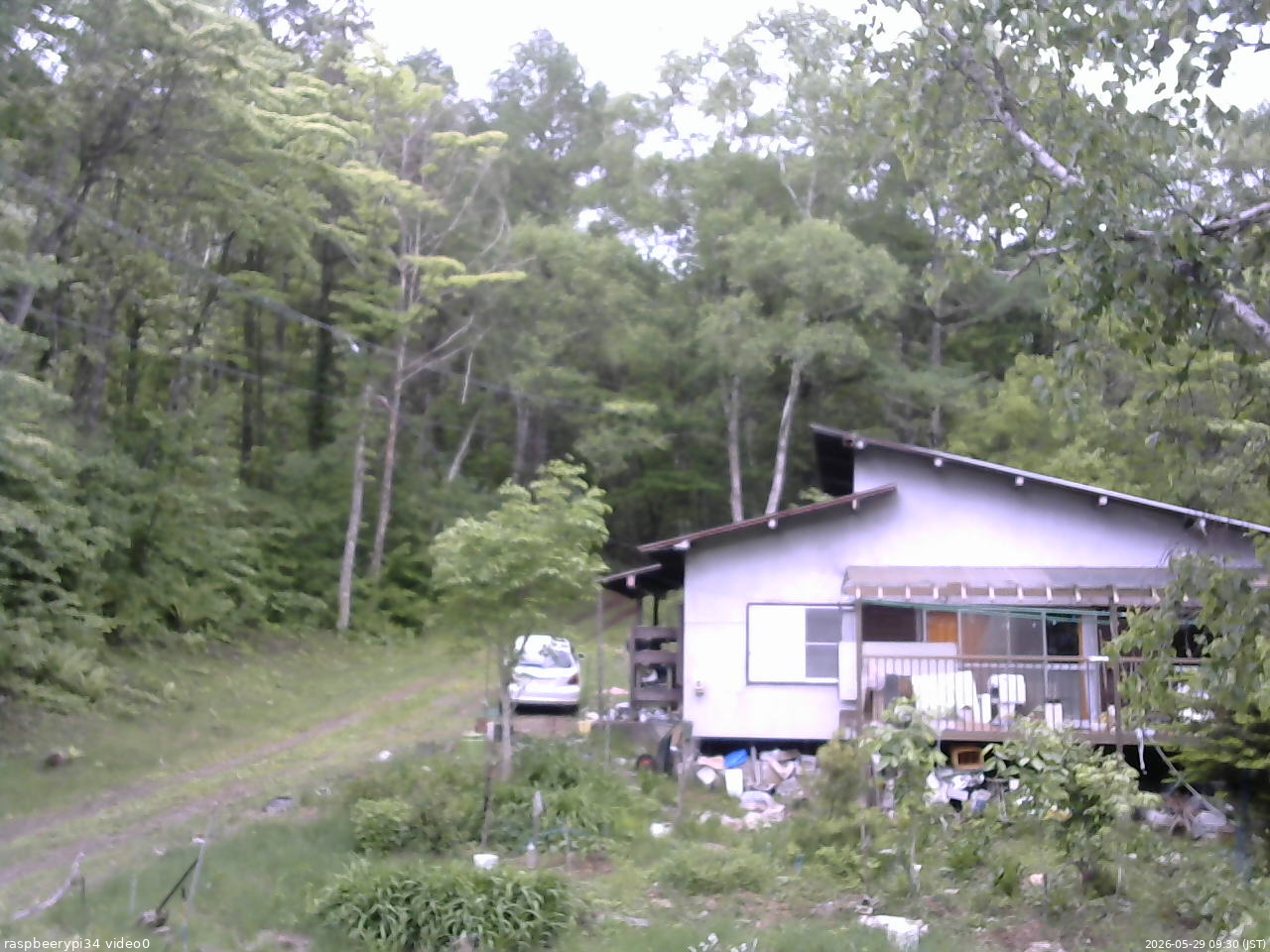 長野県菅平高原 ゆたか山荘 西側(坂上) 2026/05/29 09:30