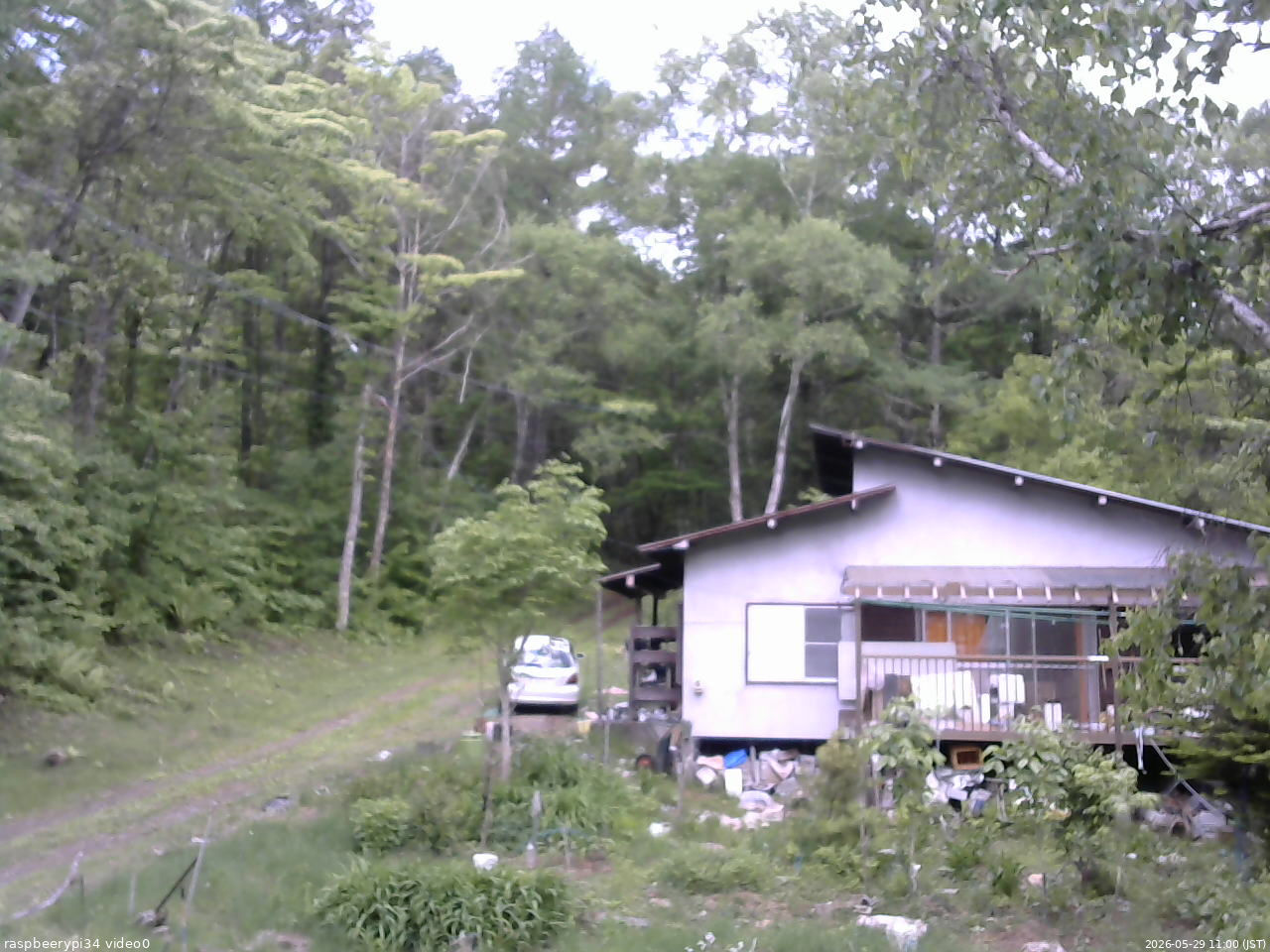 長野県菅平高原 ゆたか山荘 西側(坂上) 2026/05/29 11:00