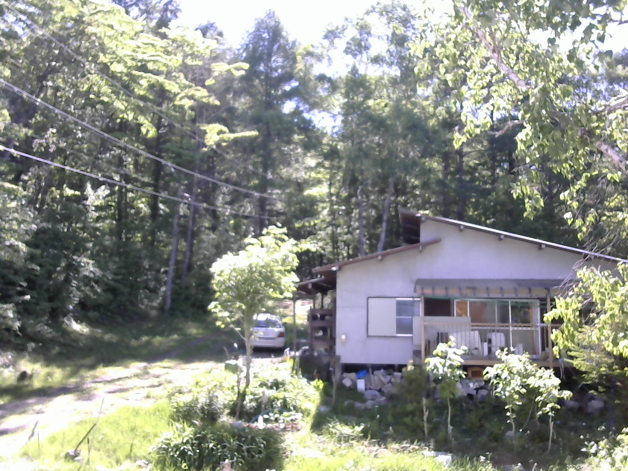 長野県菅平高原 ゆたか山荘 西側(坂上) 2026/05/29 15:00