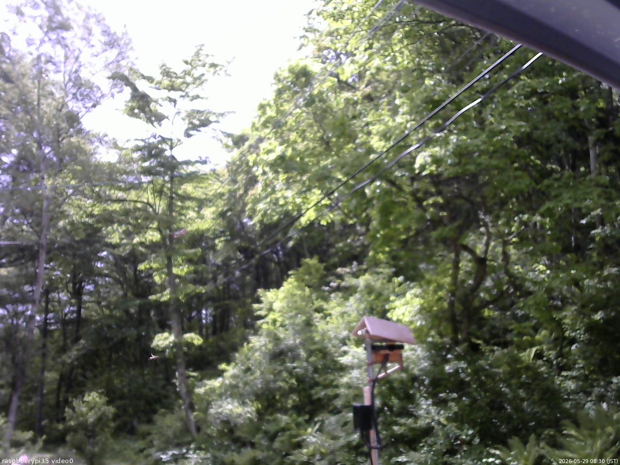 長野県菅平高原 ゆたか山荘 温度計 2026/05/29 08:30