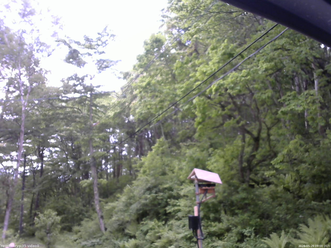 長野県菅平高原 ゆたか山荘 温度計 2026/05/29 09:00