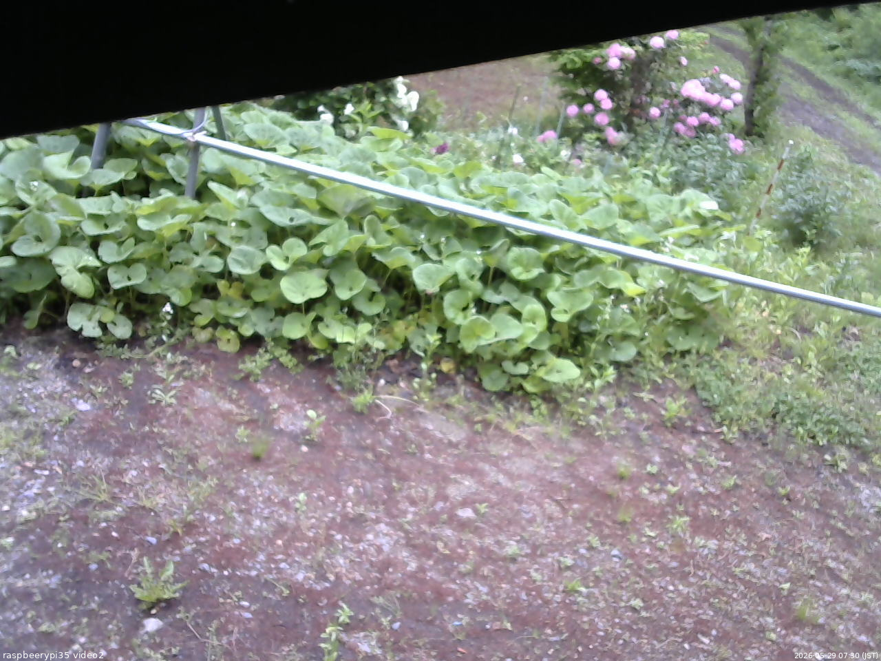 長野県菅平高原 ゆたか山荘 駐車場 2026/05/29 07:30