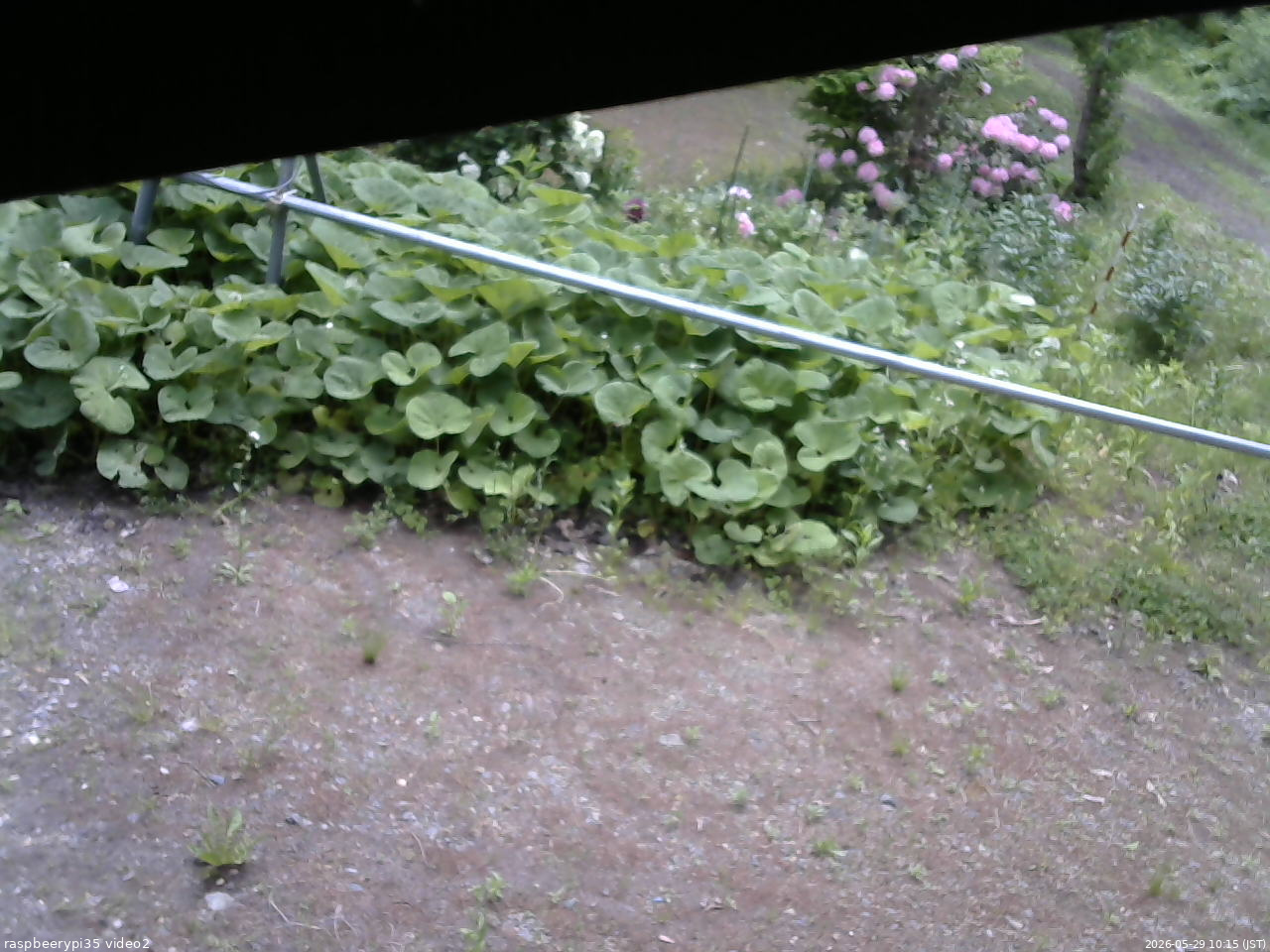 長野県菅平高原 ゆたか山荘 駐車場 2026/05/29 10:15