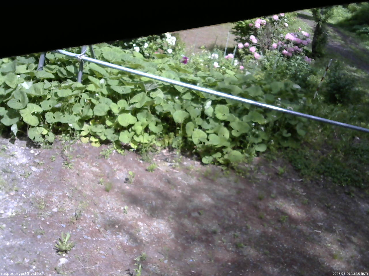 長野県菅平高原 ゆたか山荘 駐車場 2026/05/29 13:15