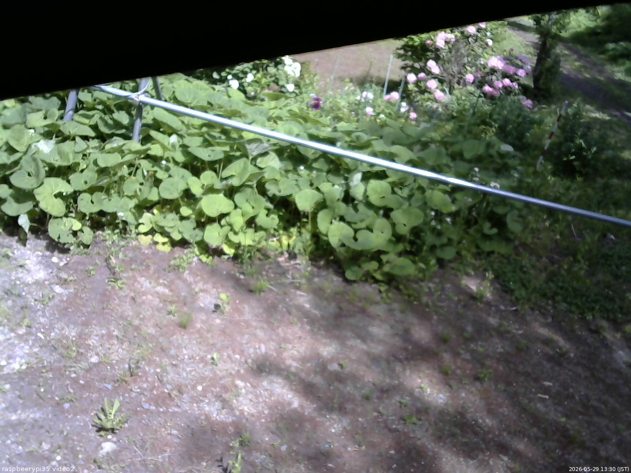 長野県菅平高原 ゆたか山荘 駐車場 2026/05/29 13:30