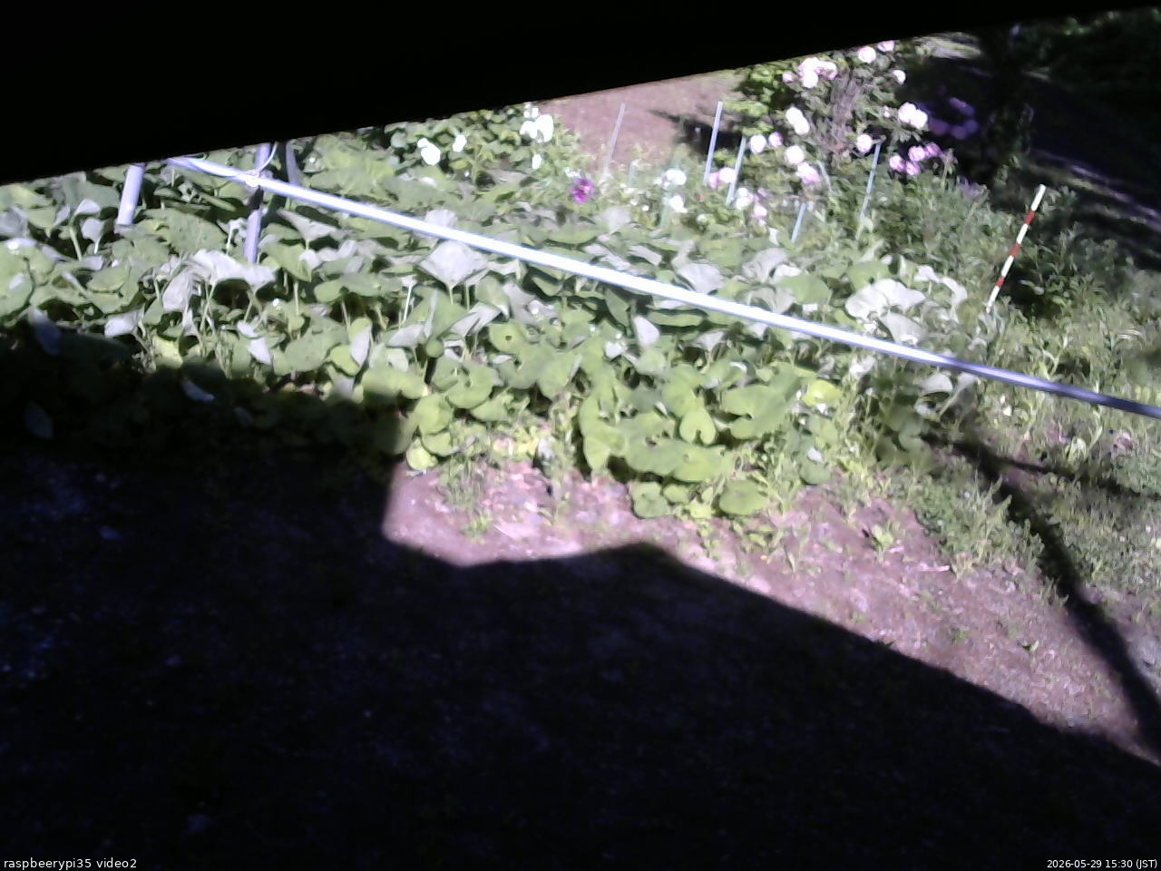 長野県菅平高原 ゆたか山荘 駐車場 2026/05/29 15:30