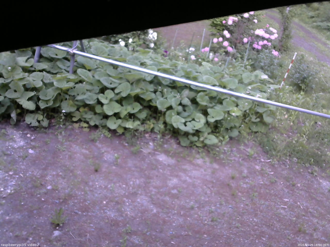 長野県菅平高原 ゆたか山荘 駐車場 2026/05/29 18:00