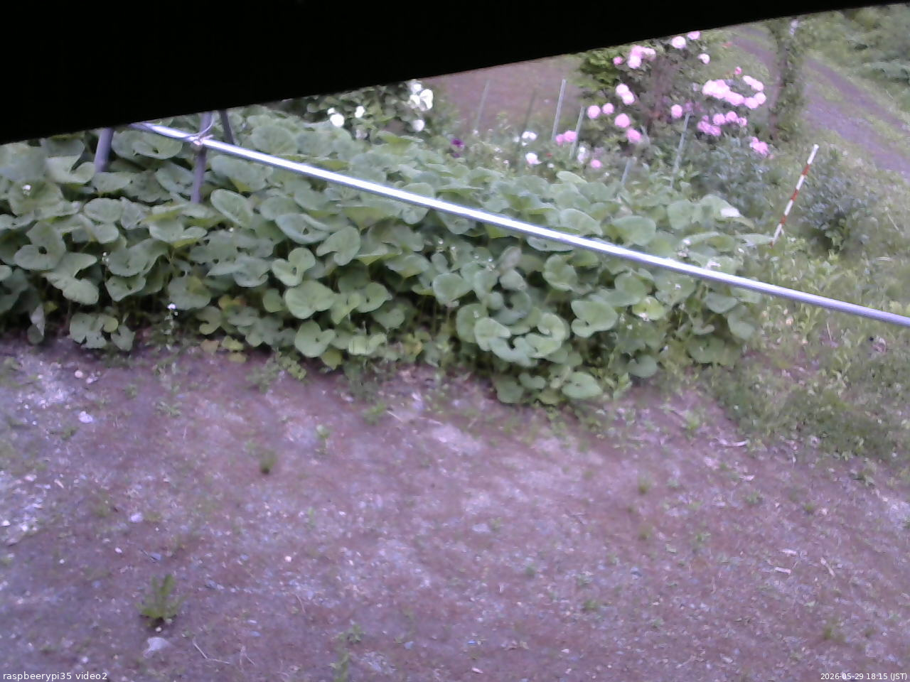 長野県菅平高原 ゆたか山荘 駐車場 2026/05/29 18:15