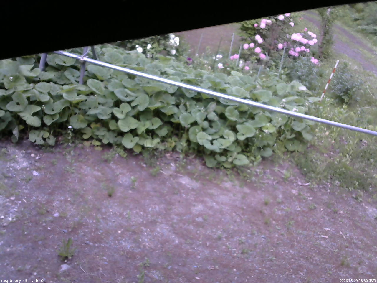 長野県菅平高原 ゆたか山荘 駐車場 2026/05/29 18:30