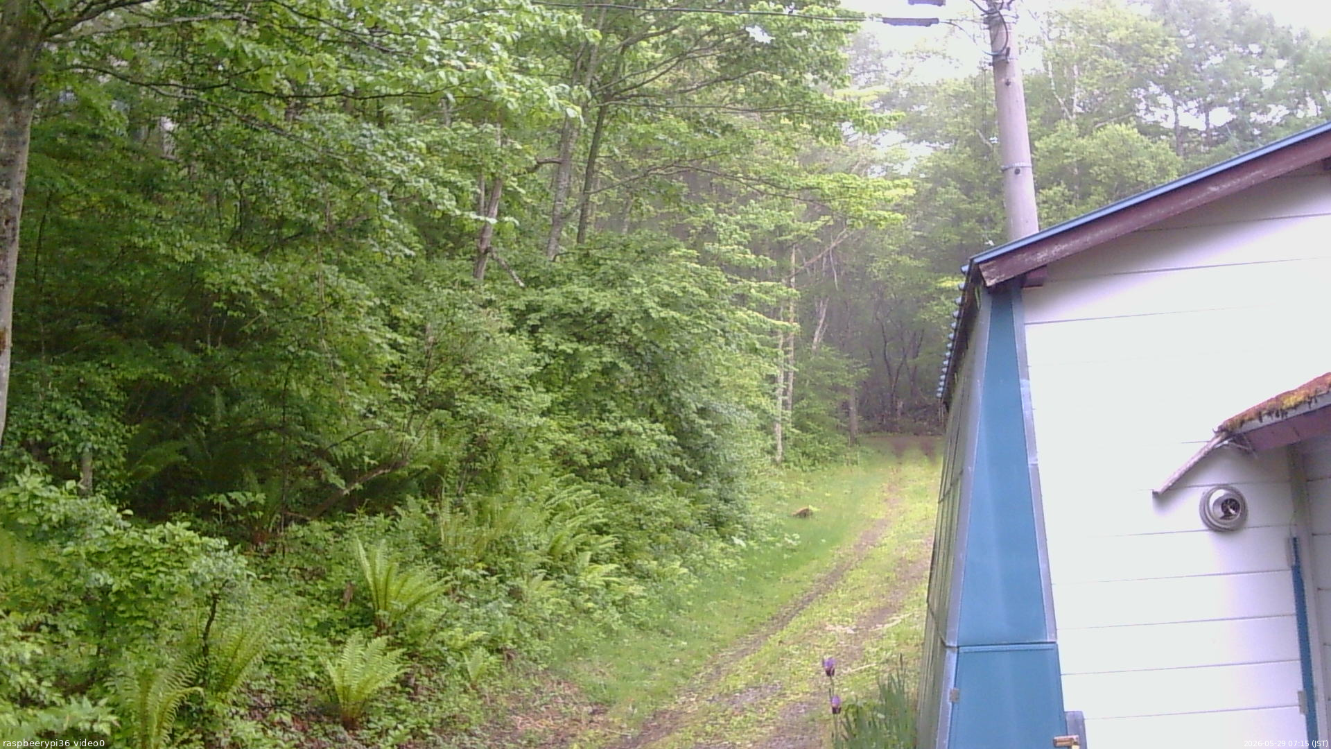 長野県菅平高原 ゆたか山荘 ゆたか山荘 2026/05/29 07:15