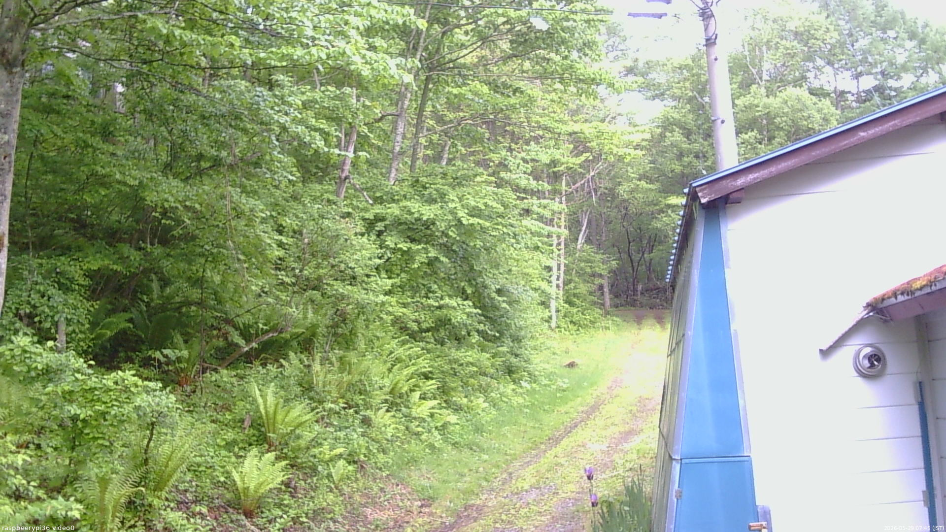 長野県菅平高原 ゆたか山荘 ゆたか山荘 2026/05/29 07:45