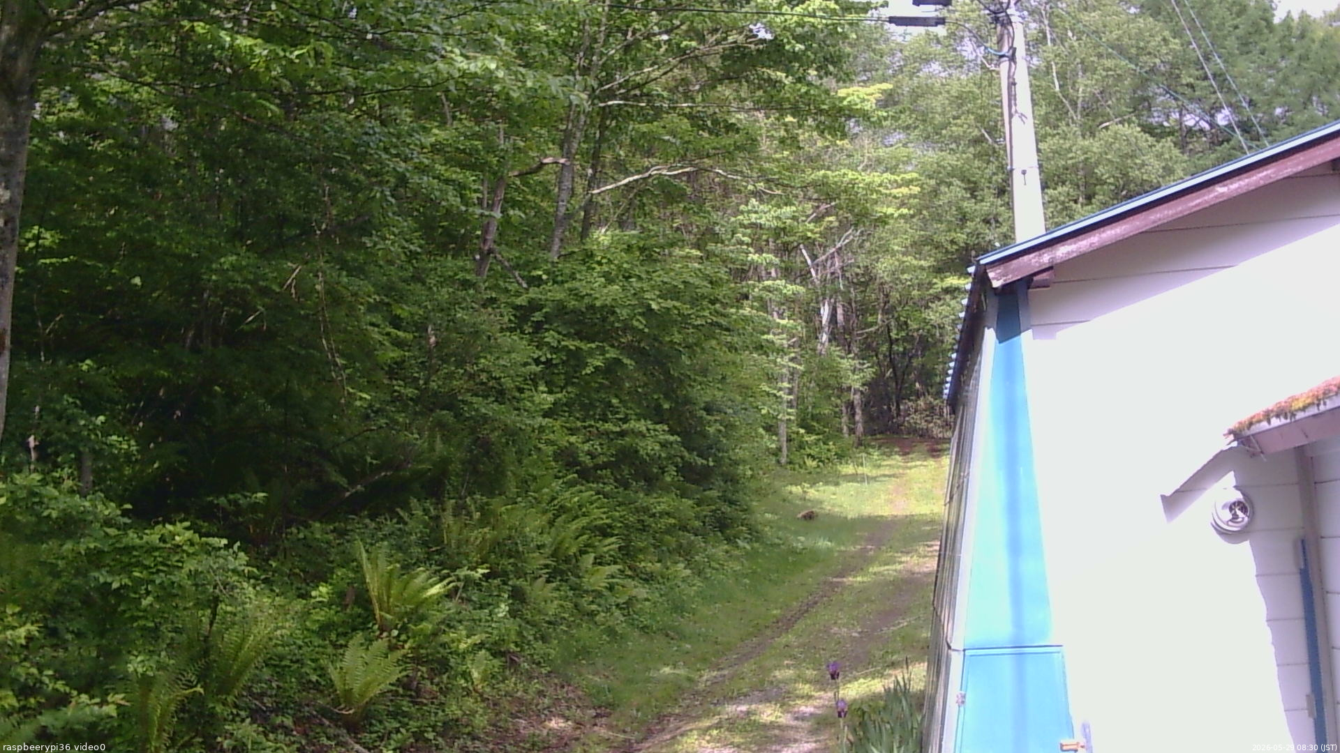 長野県菅平高原 ゆたか山荘 ゆたか山荘 2026/05/29 08:30