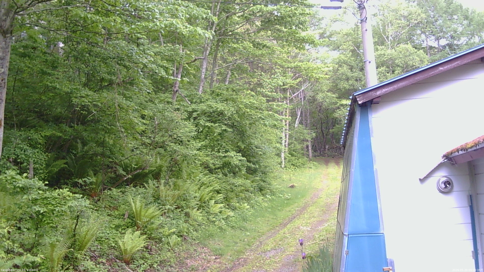 長野県菅平高原 ゆたか山荘 ゆたか山荘 2026/05/29 09:00