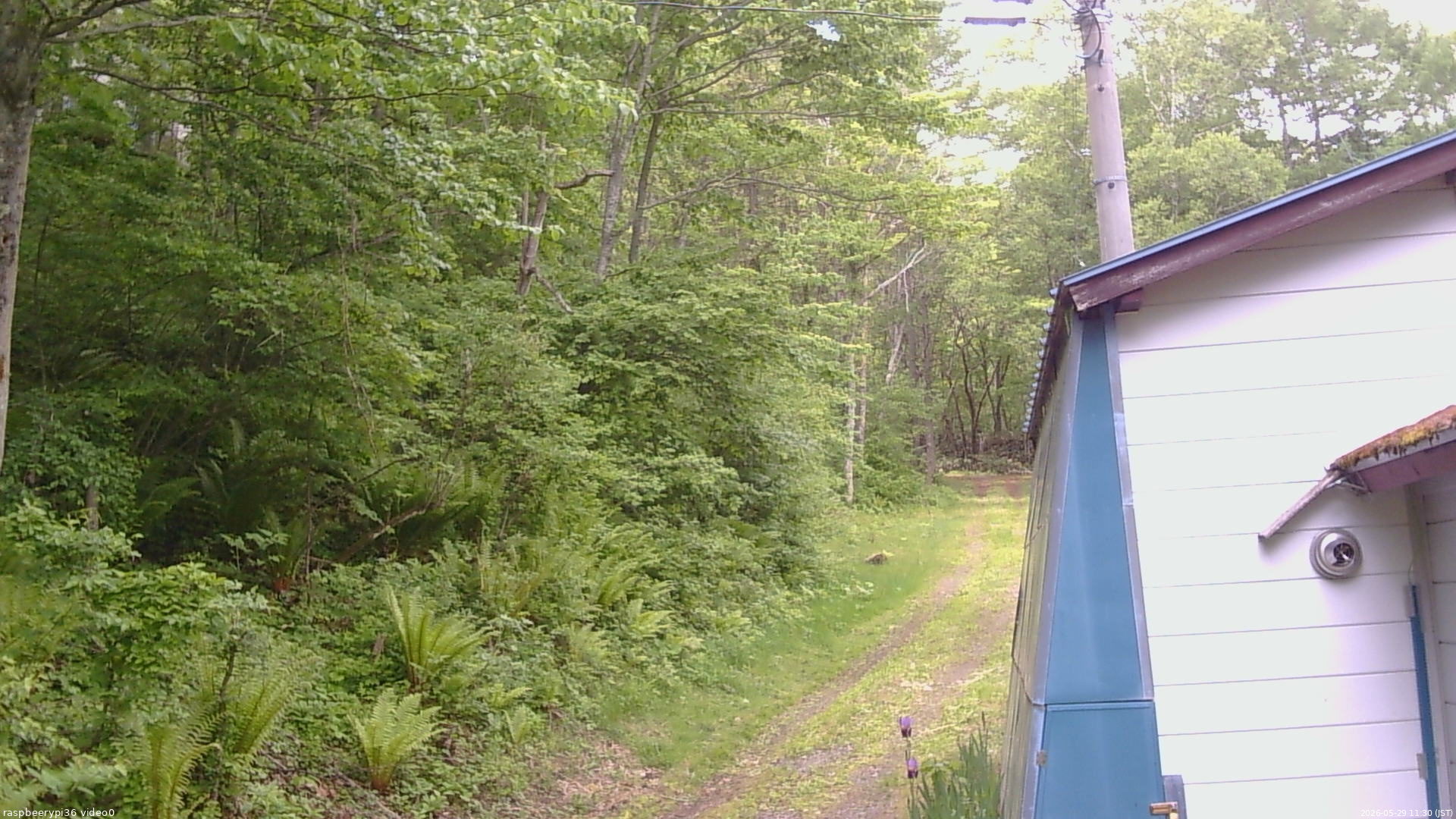 長野県菅平高原 ゆたか山荘 ゆたか山荘 2026/05/29 11:30