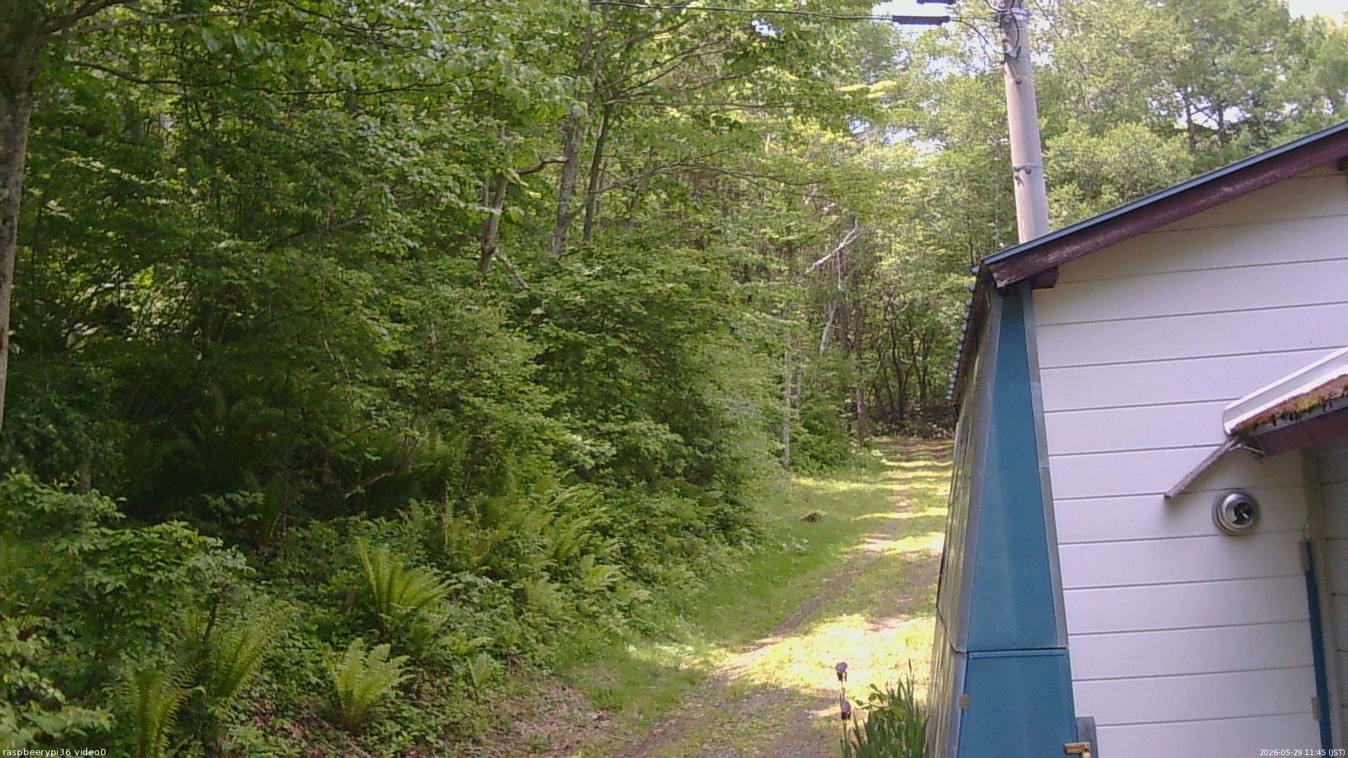 長野県菅平高原 ゆたか山荘 ゆたか山荘 2026/05/29 11:45