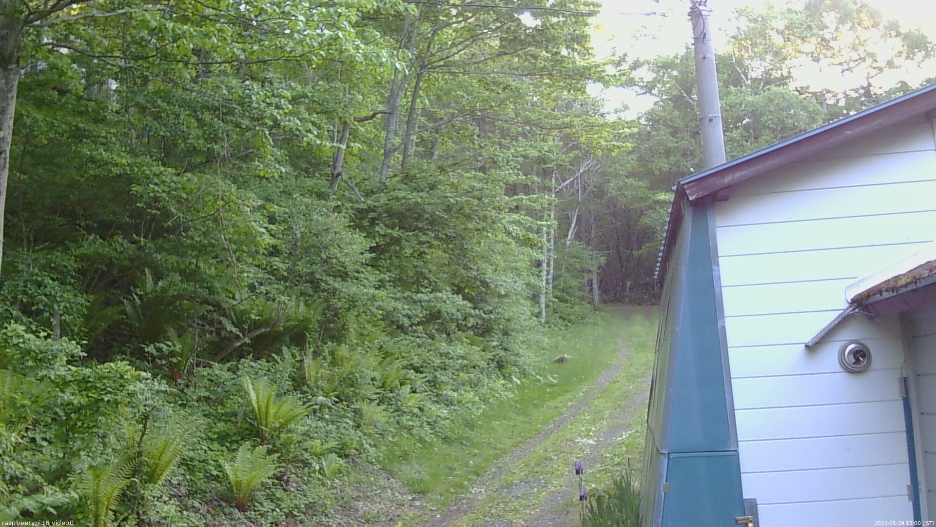 長野県菅平高原 ゆたか山荘 ゆたか山荘 2026/05/29 18:00