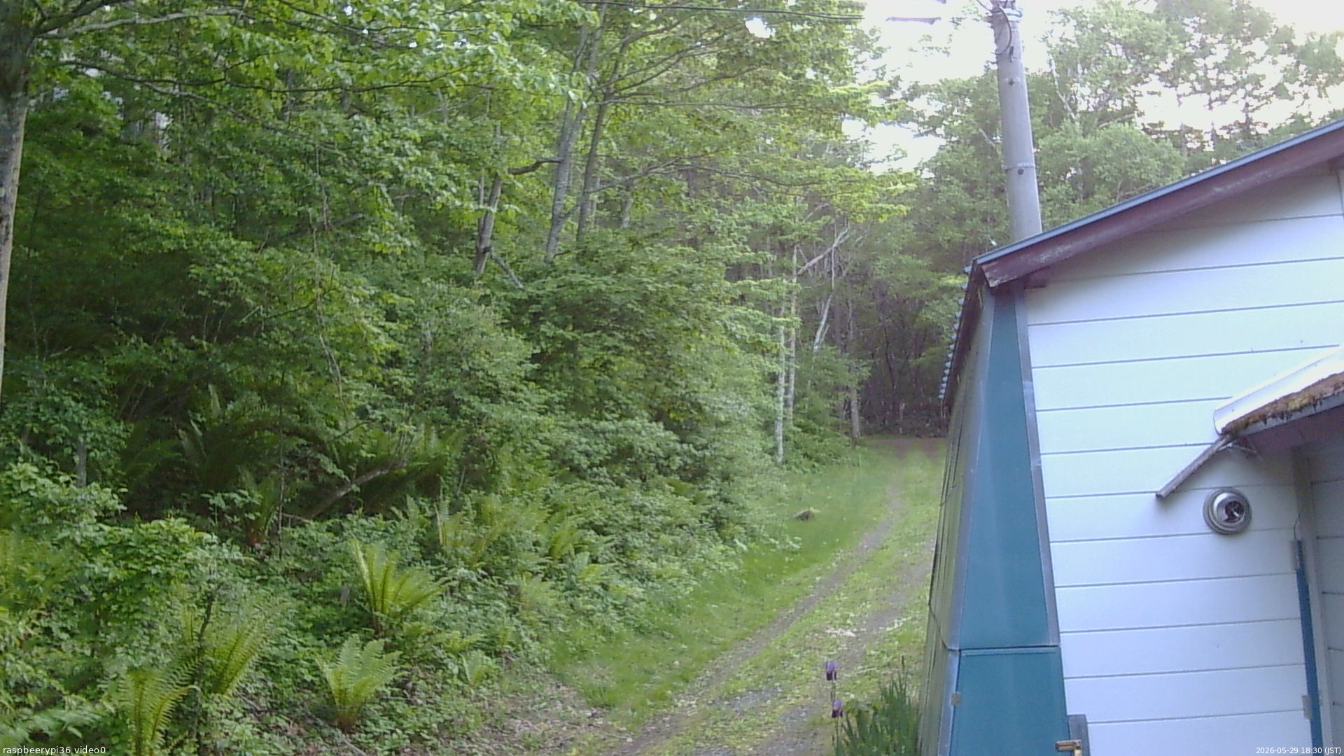 長野県菅平高原 ゆたか山荘 ゆたか山荘 2026/05/29 18:30